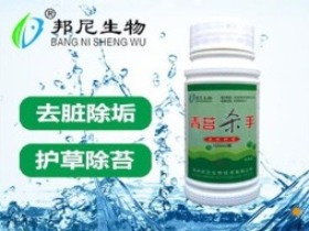 青苔殺手