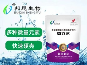 微立達(dá)